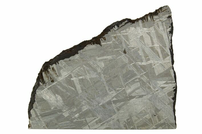 Etched Muonionalusta Meteorite Slice ( g) - Sweden #316728